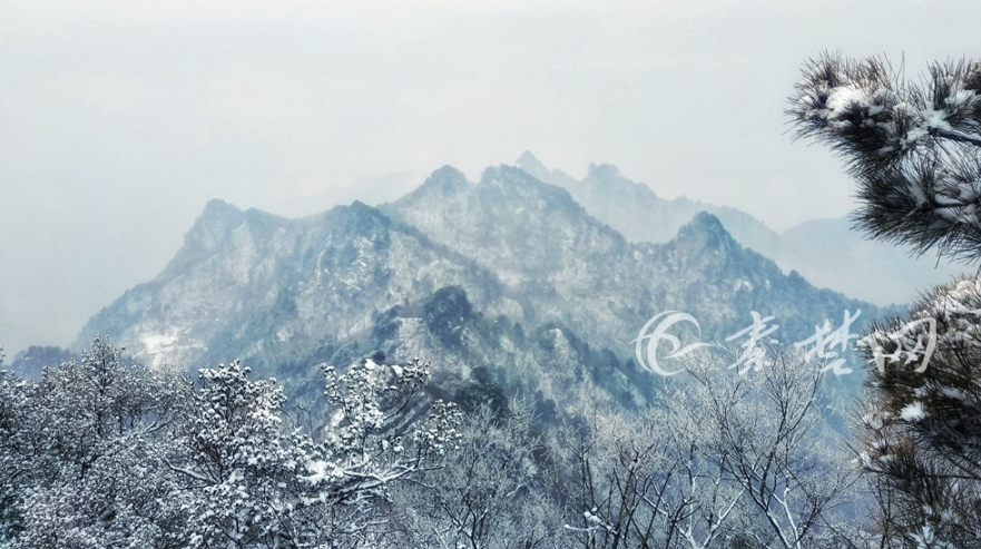 十堰下雪了！武當(dāng)山仙氣十足（組圖）